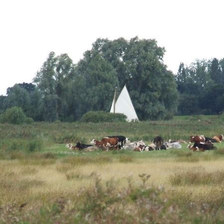 Charming Woodland Lodge 2 Person 1 Bedroom Great Yarmouth Buitenkant foto